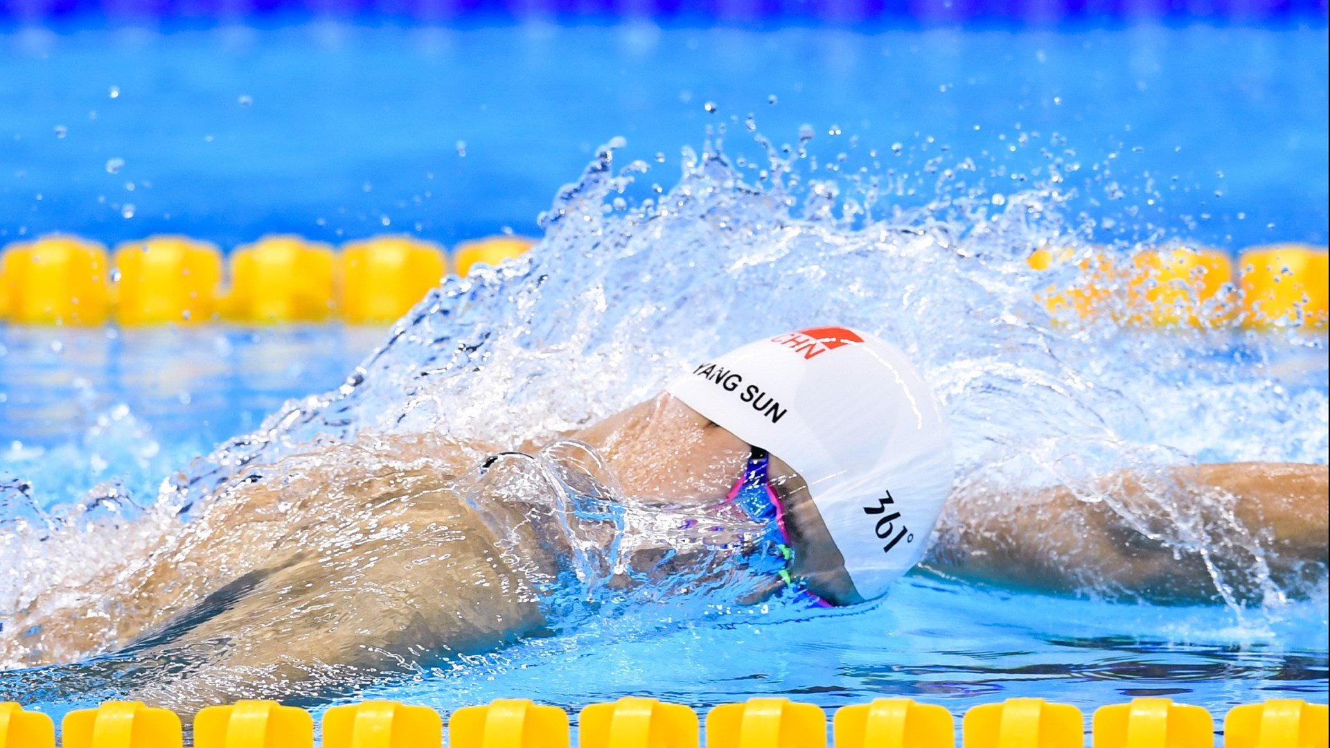 伊朗传统马术赛事“Chovgan”在2024年成功举办，吸引众多观众参与。，伊朗马种